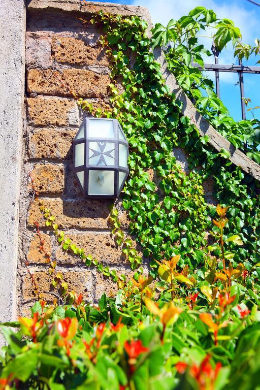 Commenda Ordine Di Malta Hotel Vignanello Eksteriør billede